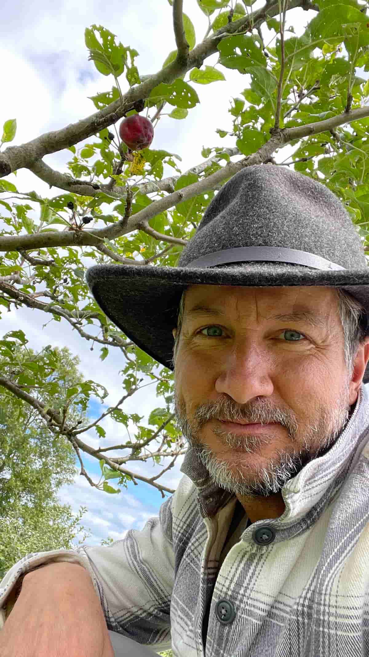 Laurel Spring Cidery heritage apple orchard — Spring Mills, PA